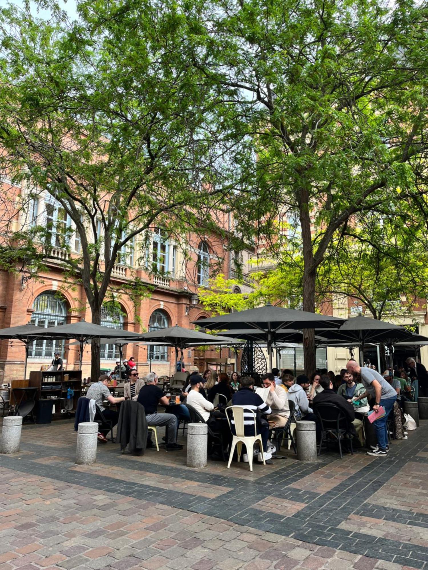 Le Petit Toulousain Chic Toulouse Exterior photo